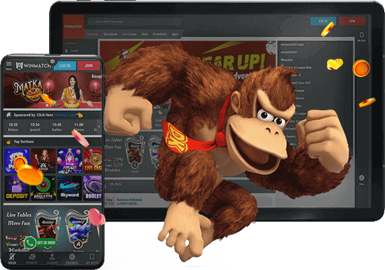 WinMatch365 India Bonuses 2026